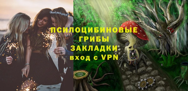spice Михайловск