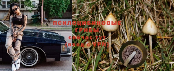 ALPHA PVP Михайлов
