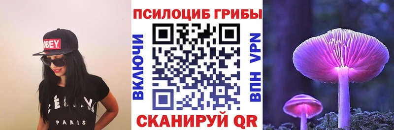 Купить где  Лабытнанги  Псилоцибиновые грибы Psilocybe 